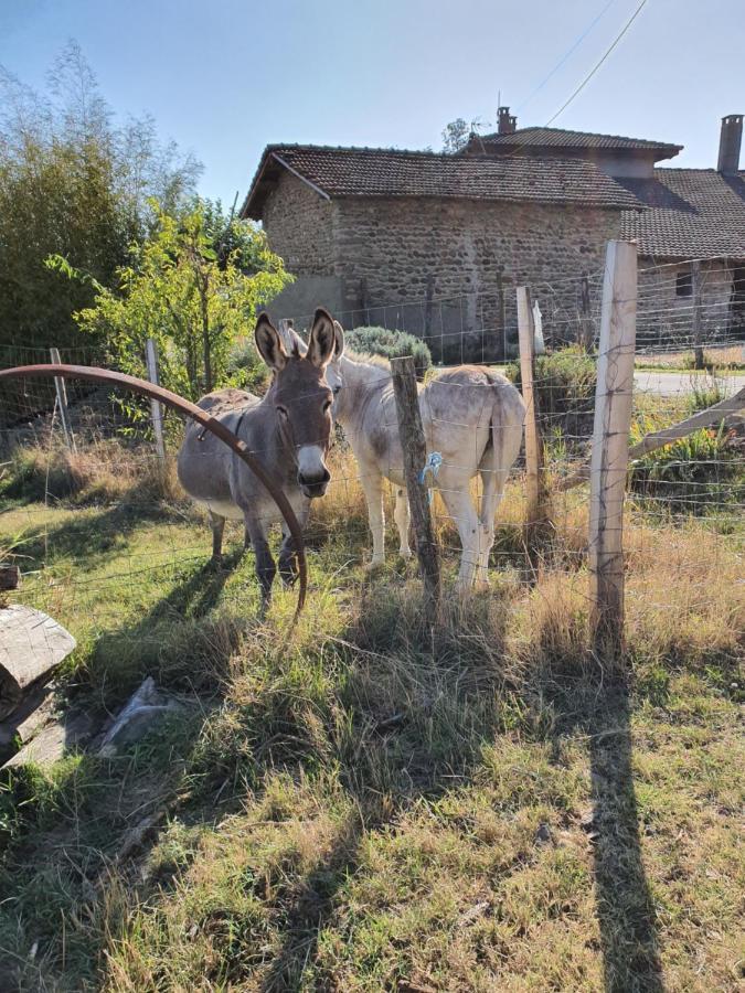 Les Figuets Villa Chateauneuf-de-Galaure Kültér fotó