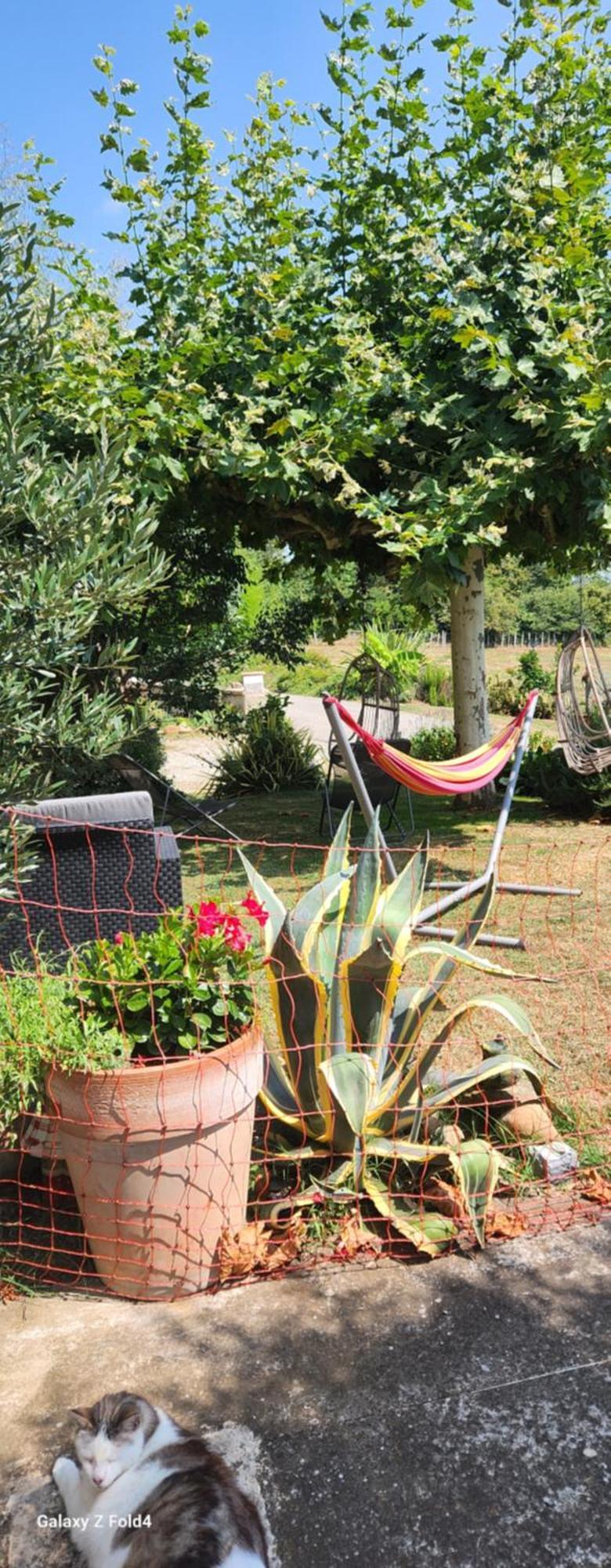 Les Figuets Villa Chateauneuf-de-Galaure Kültér fotó