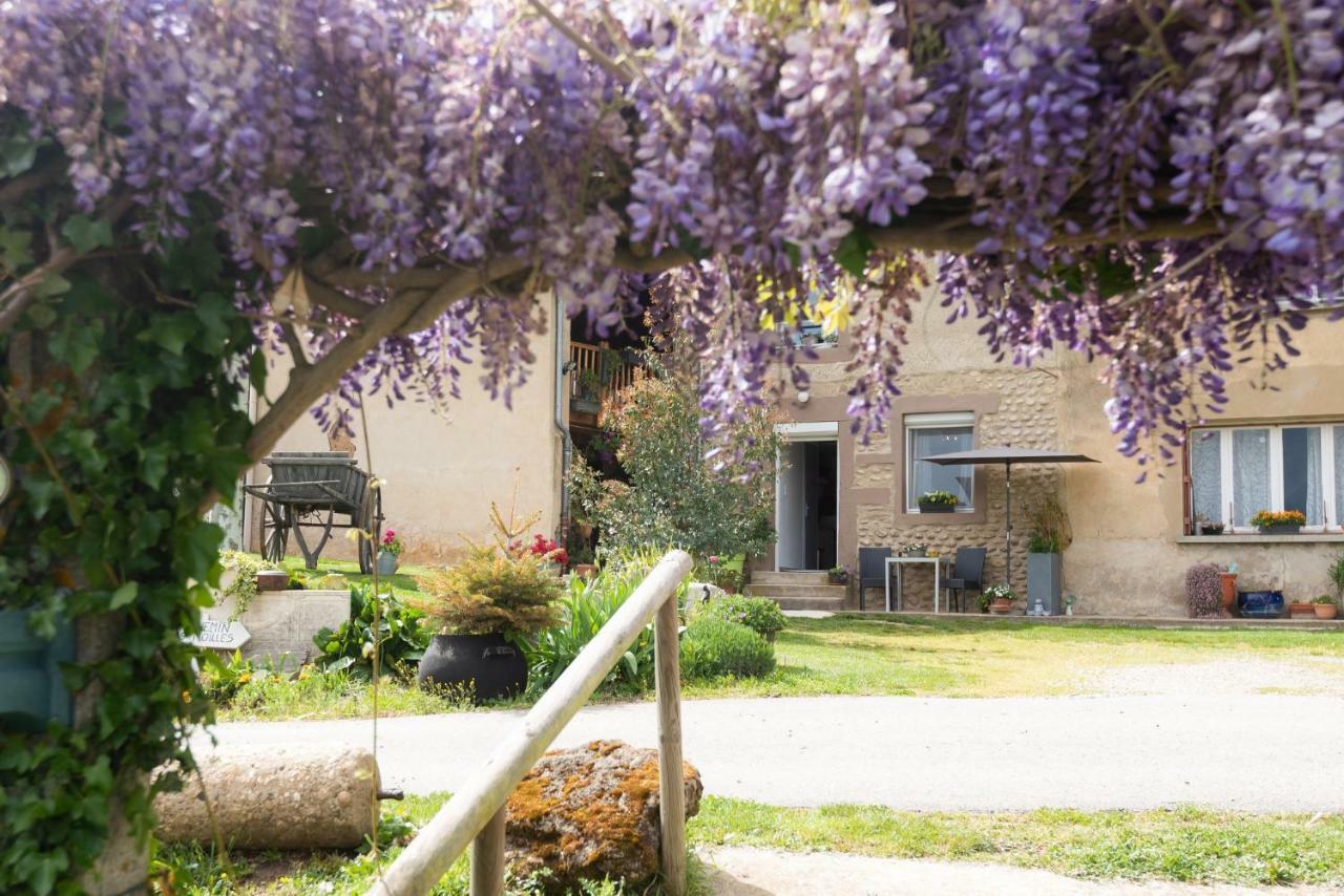 Les Figuets Villa Chateauneuf-de-Galaure Kültér fotó